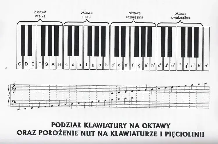 Tabela częstotliwości dźwięków: klucz do harmonii muzycznej