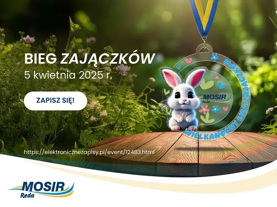 Jak szybko biega zając? Odkryj jego niesamowite prędkości i techniki