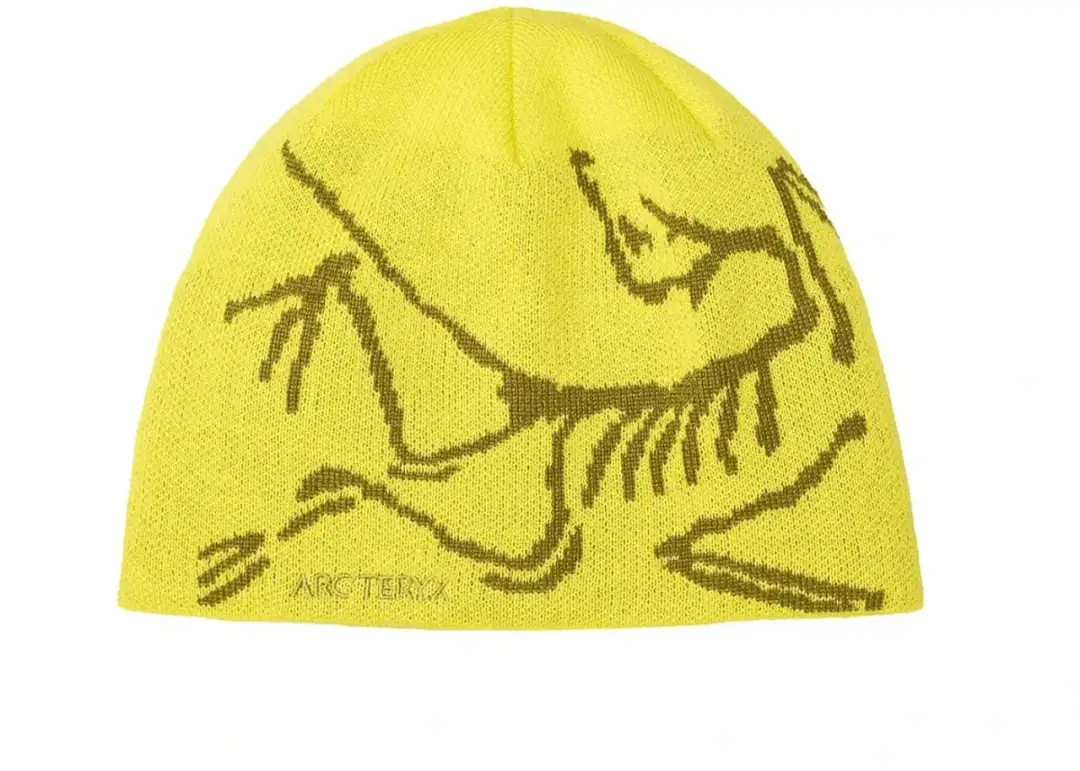 Arc'teryx Bird Head Mütze: Kult-Beanie im Test Lohnt sich der Hype?