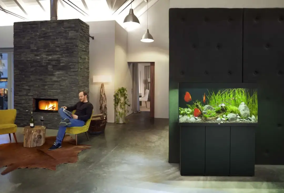 Jak prawidłowo ustawić akwarium i na czym je postawić