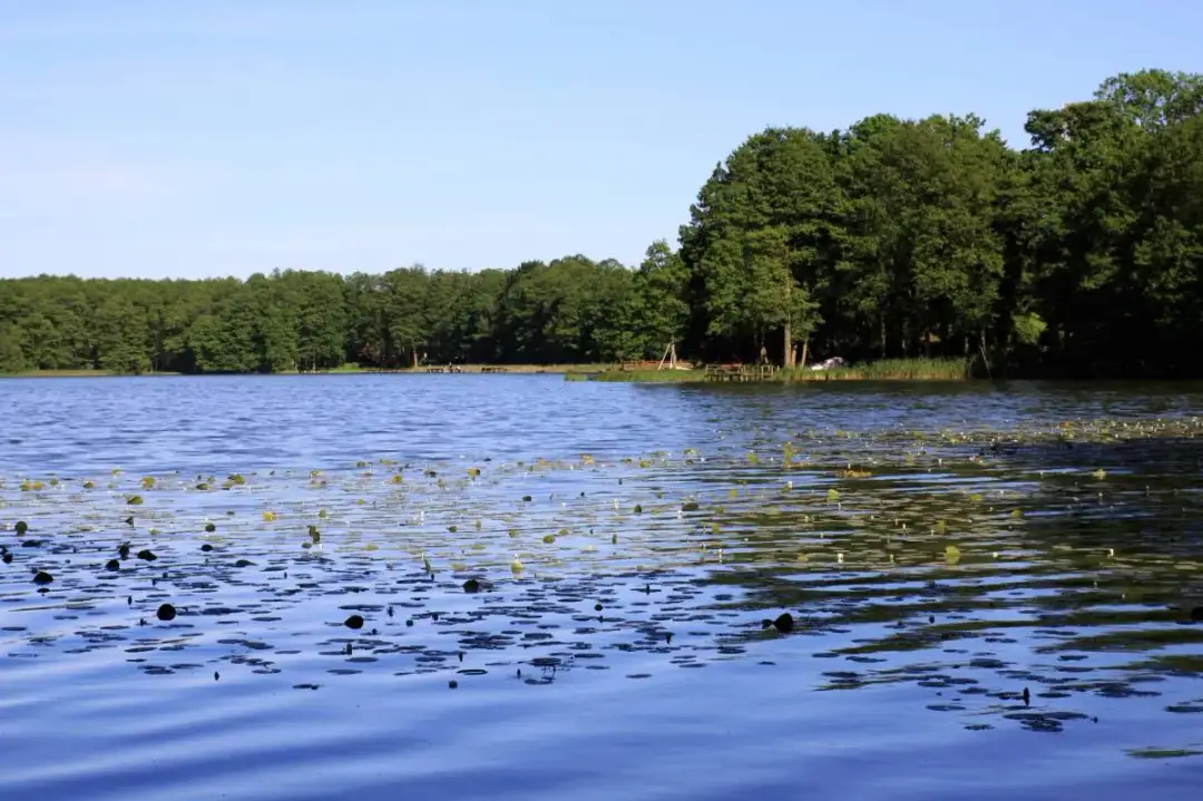 Jezioro Królewskie w Myśliborzu: malowniczy zakątek dla wędkarzy i turystów