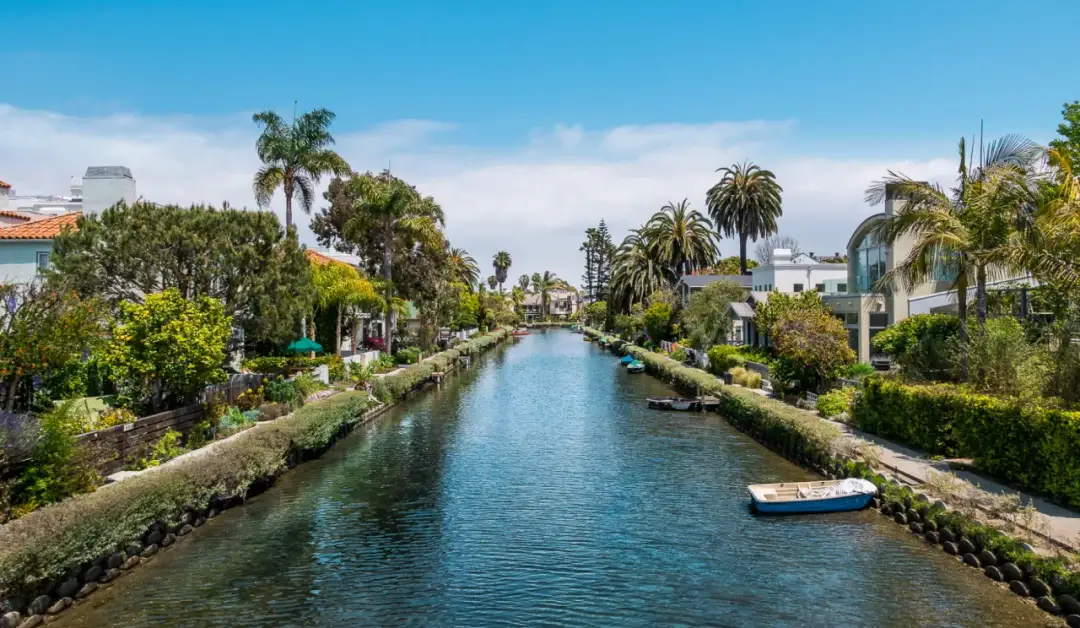 Content and Co – wyjątkowe usługi medialne w Los Angeles