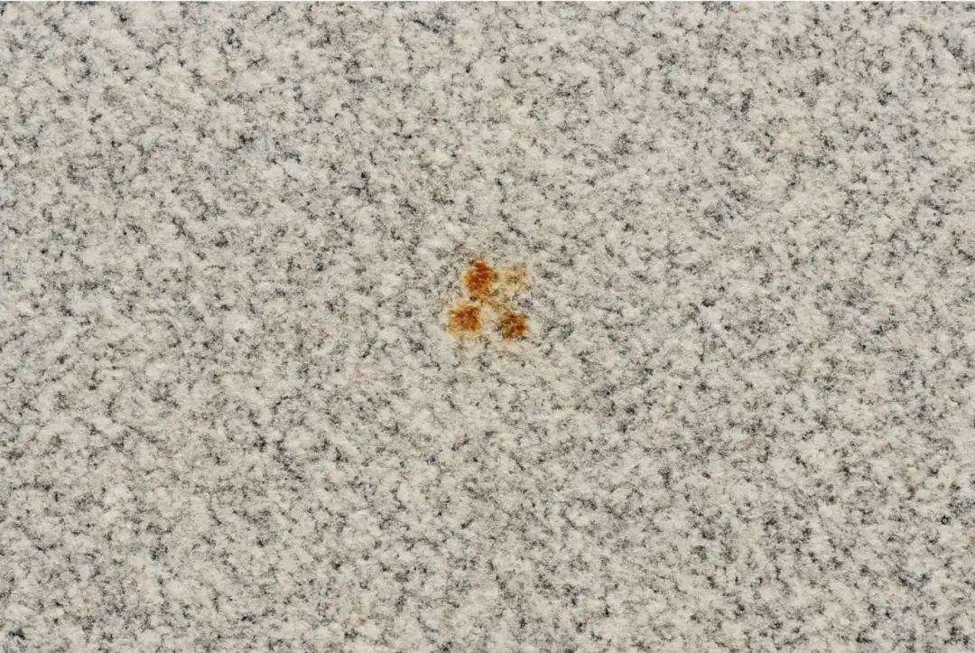 Jak skutecznie usunąć rdzę z łazienki? Poradnik krok po kroku