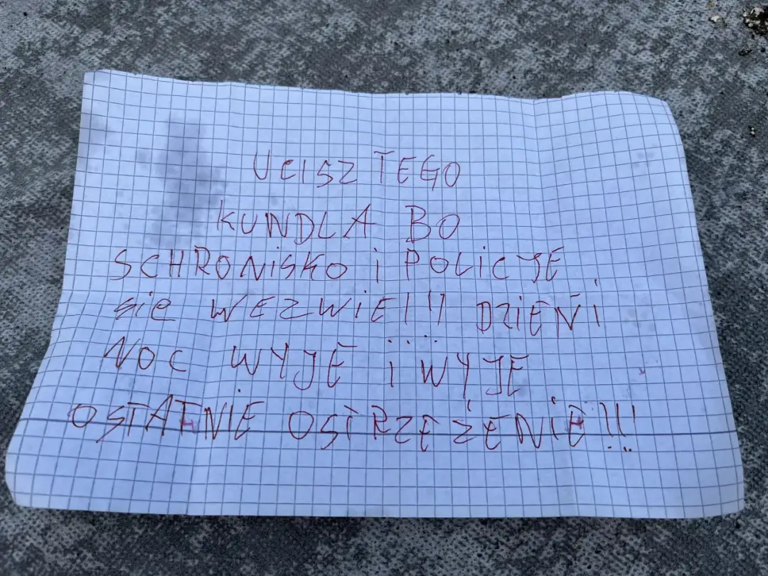 Jak zgłosić szczekającego psa w bloku i odzyskać spokój