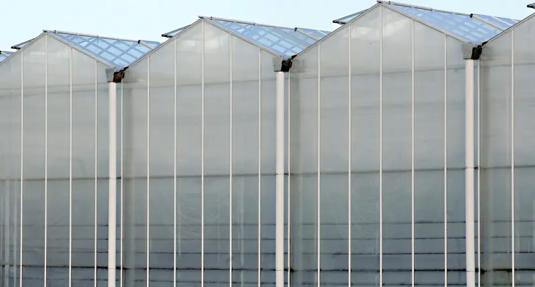 Ścianki z poliwęglanu komorowego: właściwości i zastosowania