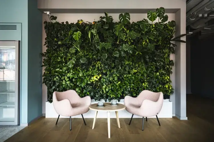 Jak stworzyć zieloną ścianę w salonie: 5 prostych kroków