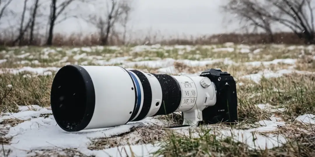 Jaki obiektyw do portretów Olympus – najlepsze wybory dla Ciebie