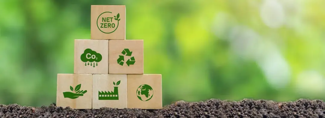 Recykling organiczny: Jak skutecznie przetwarzać odpady i zyskać korzyści