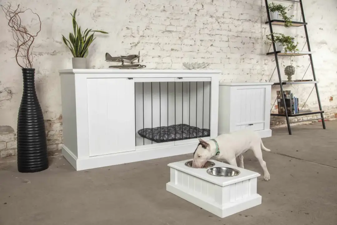 Jak elegancko urządzić meblową klatkę dla psa: praktyczny poradnik
