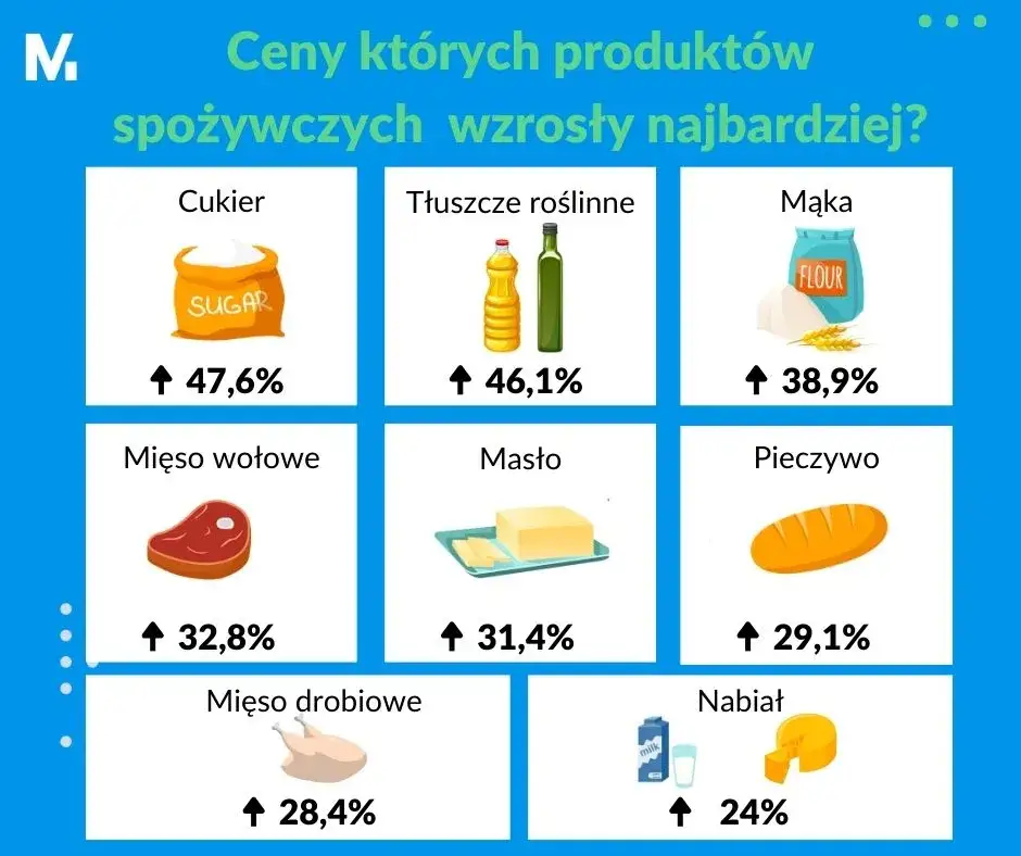 Cena ramenu w Polsce: Jak oszczędzić? Sprawdź, co się opłaca!