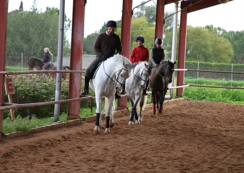 Jak zostać trenerem jeździectwa i uniknąć najczęstszych błędów