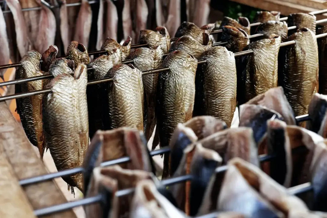 Jak przygotować pstrąga do wędzenia, aby uniknąć najczęstszych błędów