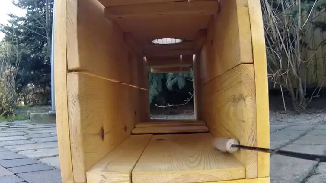 Skuteczna przynęta na lisa: jak przyciągnąć rudzielca do pułapki