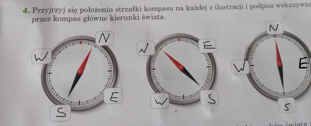 Jaki kierunek wskazuje kompas? Twoja pewność w terenie!