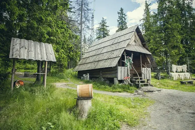 Najlepsze bacówki z oscypkami, które musisz odwiedzić w Tatrach