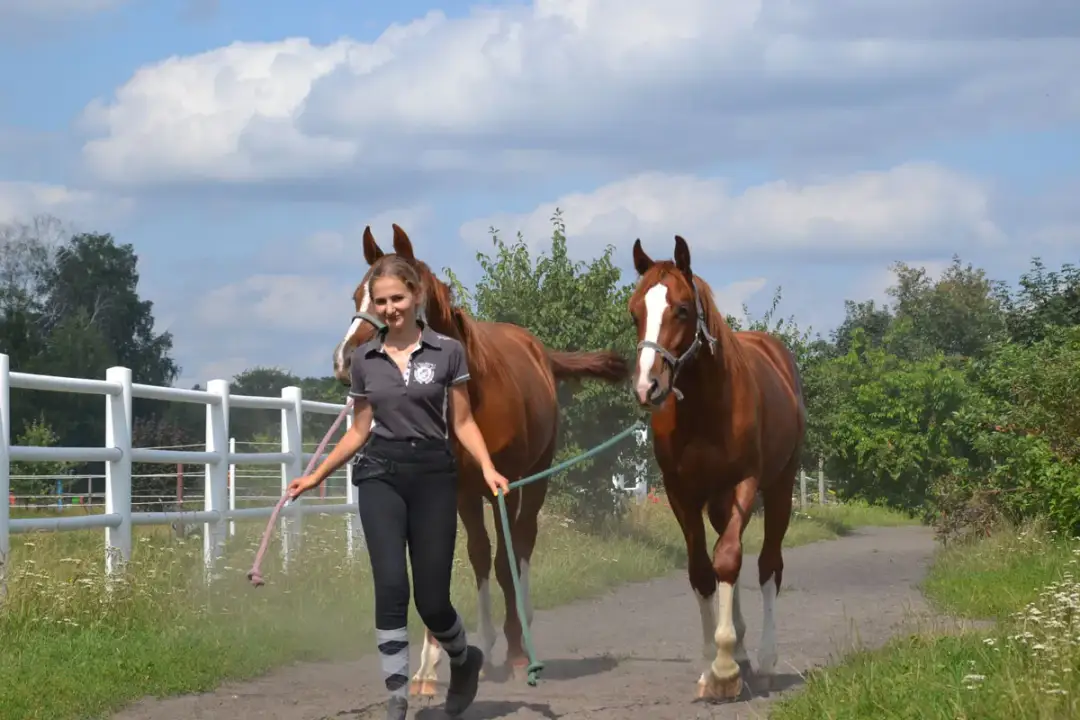 Młoda kobieta prowadzi dwa kasztanowe konie na spacerze. To piękny dzień w ciechocińskim klubie jeździeckim Bonanza.