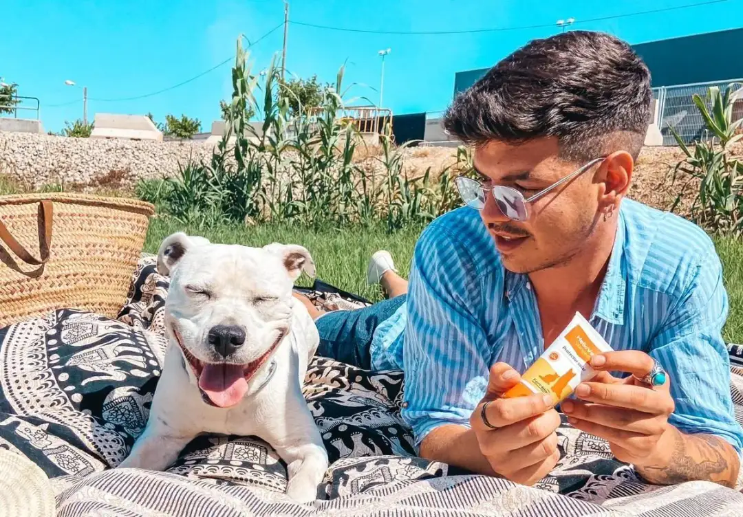 Protector solar para perros: evita quemaduras y cuida su piel