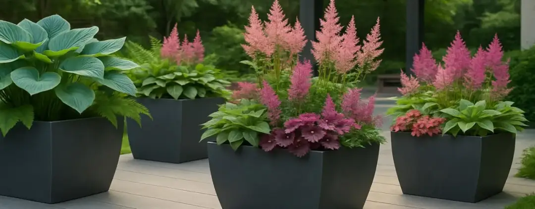 Co do dużej donicy na taras? Najlepsze rośliny, które zachwycą