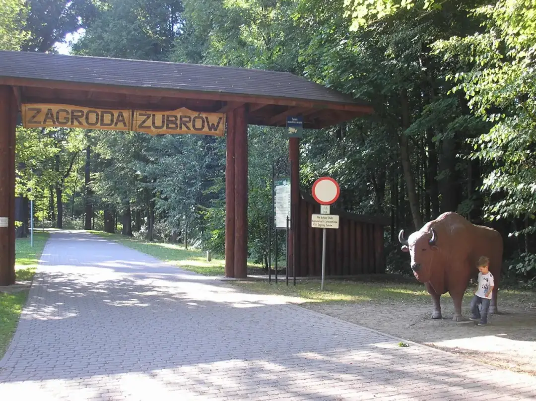 Zagroda Żubrów Pszczyna: Planuj wizytę! Ceny, dojazd, atrakcje