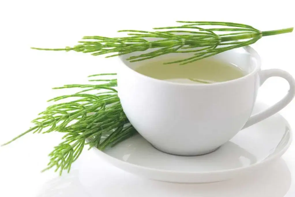 Cómo limpiar el organismo de medicamentos de forma natural y efectiva