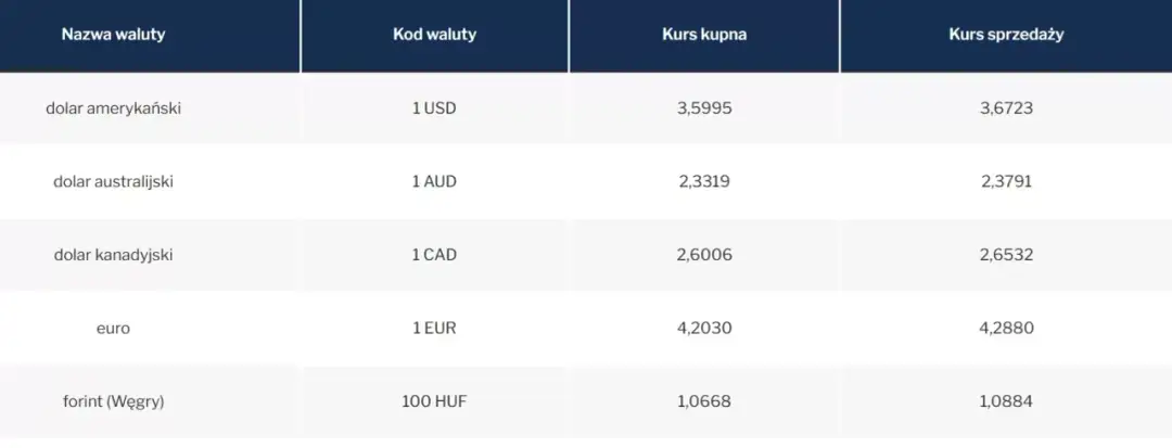 Jak kupić euro w NBP – procedury, kursy i opłaty, które musisz znać