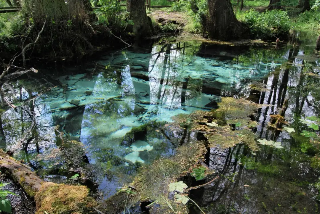 Dolina Dłubni - przewodnik po pięknej i malowniczej dolinie