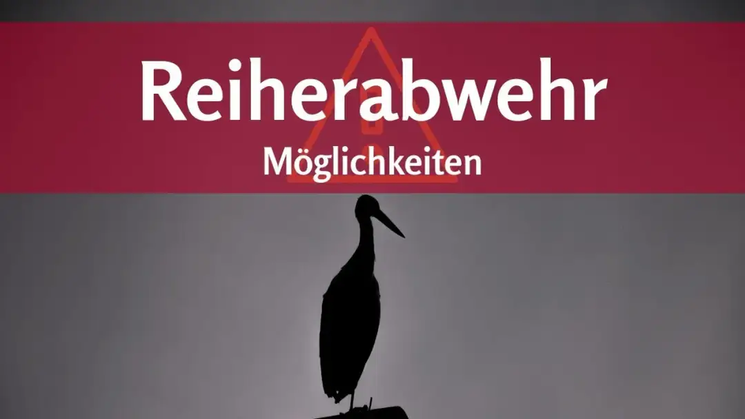 Effektive Methoden: Was hilft gegen Reiher am Teich? Schützen Sie Ihre Fische