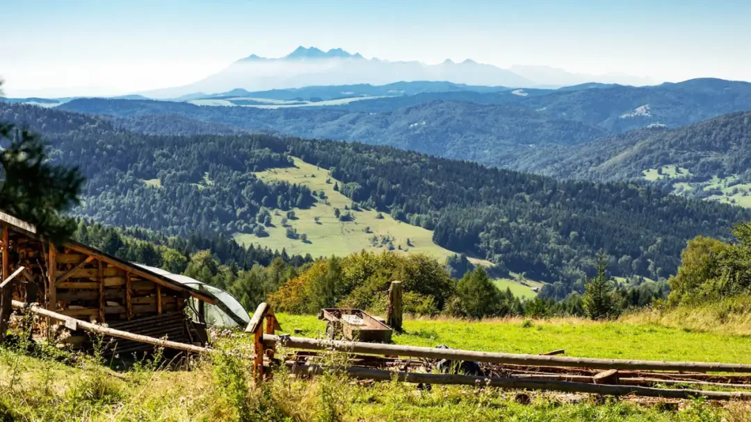 Krynica-Zdrój: Wybór sanatorium uniknij pułapek! Porady seniora