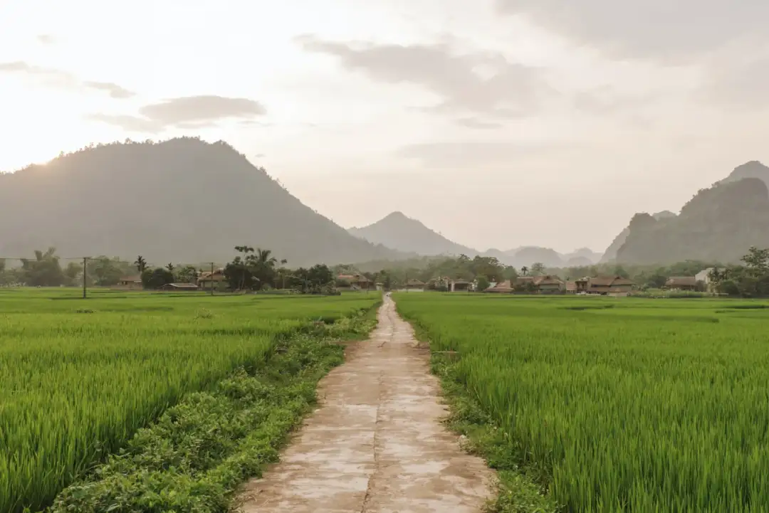 Remont drogi: zgłoszenie czy pozwolenie? Uniknij kar!
