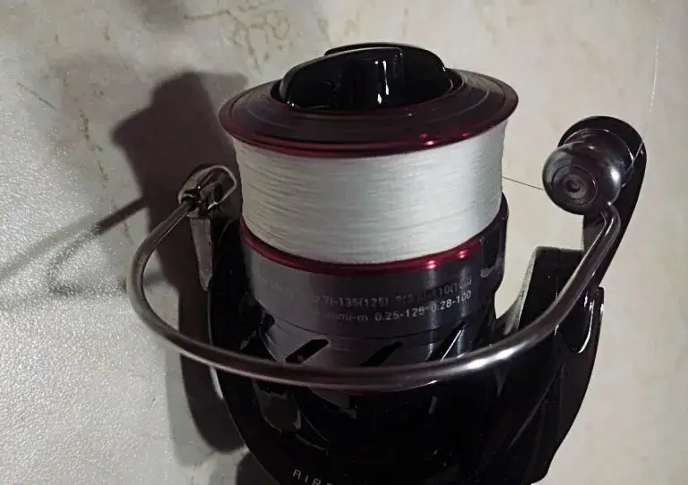 Jaka plecionka na okonia – wybierz najlepszą na udane połowy