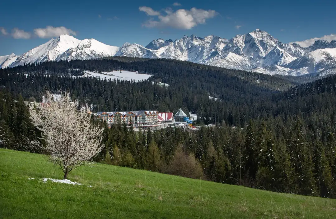 Hotel z termami w otoczeniu lasów TPN. Hotel BUKOVINA to wymarzone miejsce na urlop z rodziną lub we dwoje