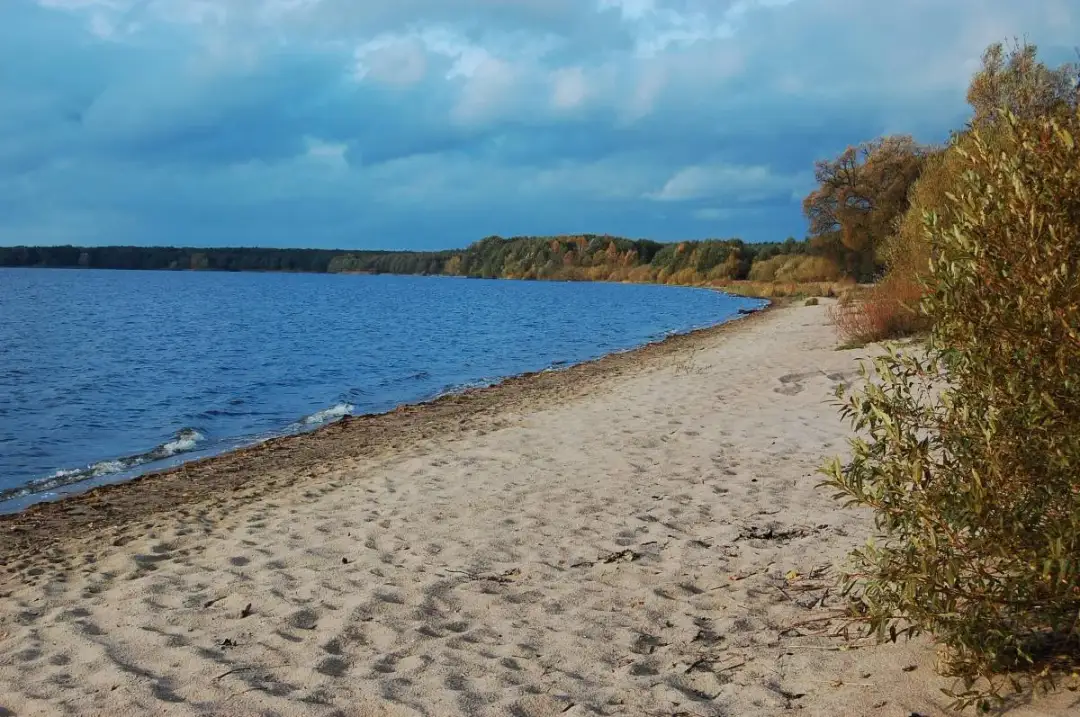 Jezioro Wielimie: piękne miejsce na wypoczynek i rekreację w naturze