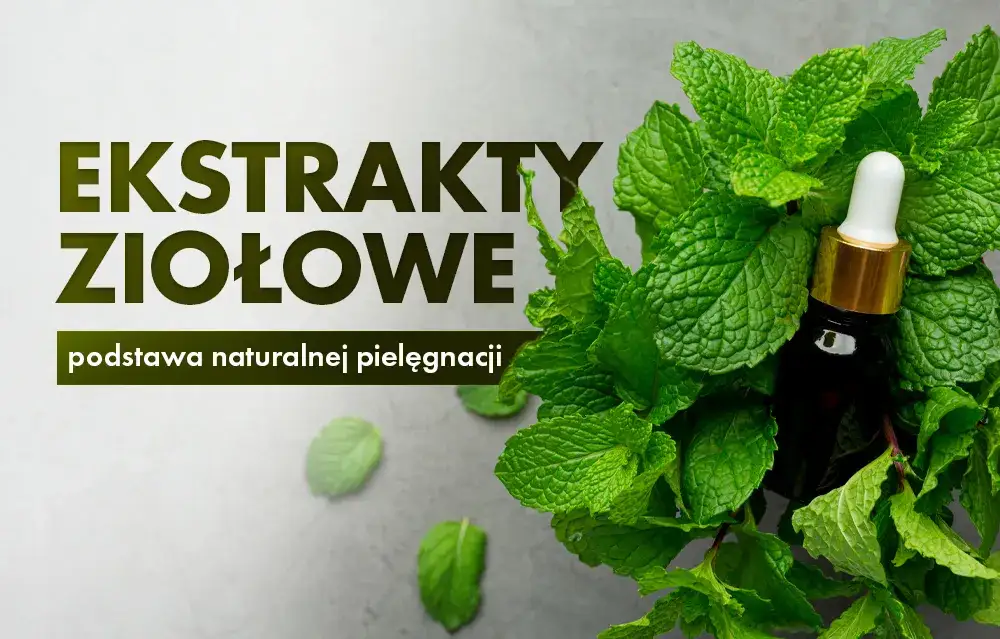 Jak zrobić ekstrakt roślinny - proste metody i najczęstsze błędy