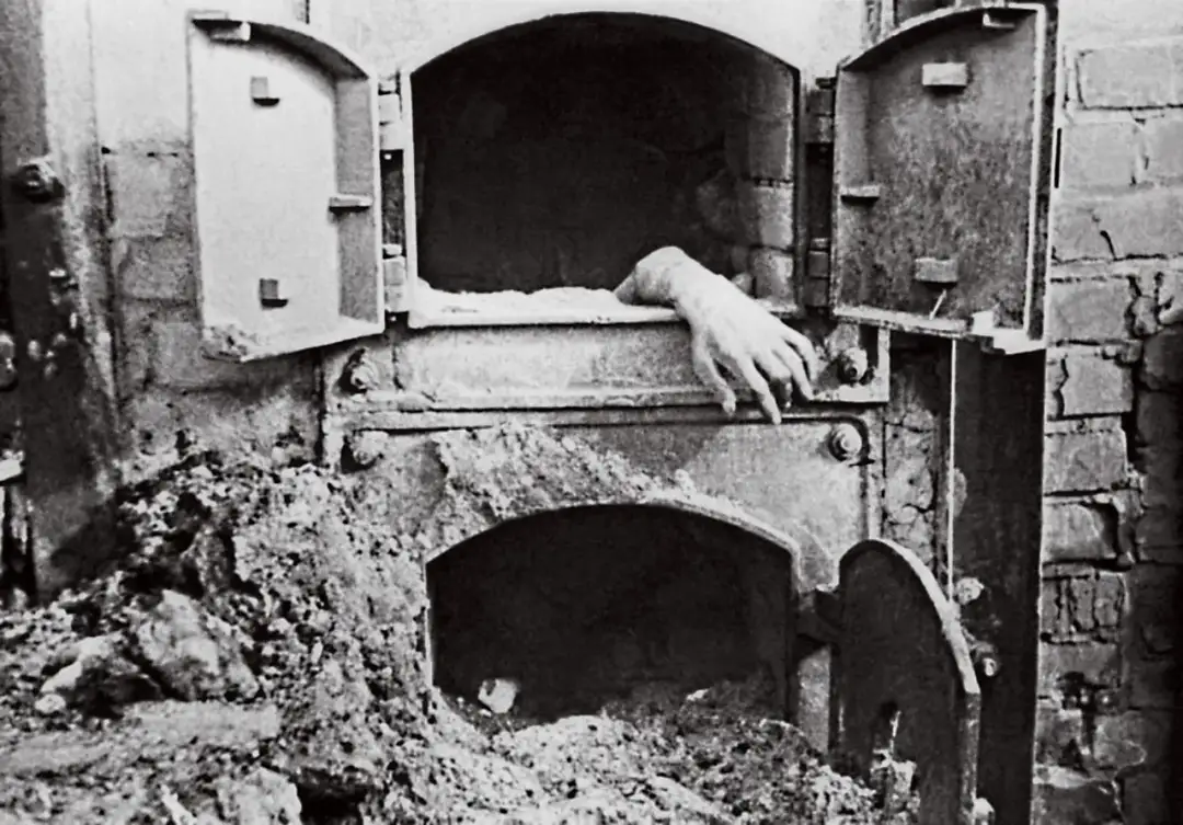 Jak wyglądały egzekucje w Auschwitz? Makabryczne świadectwa