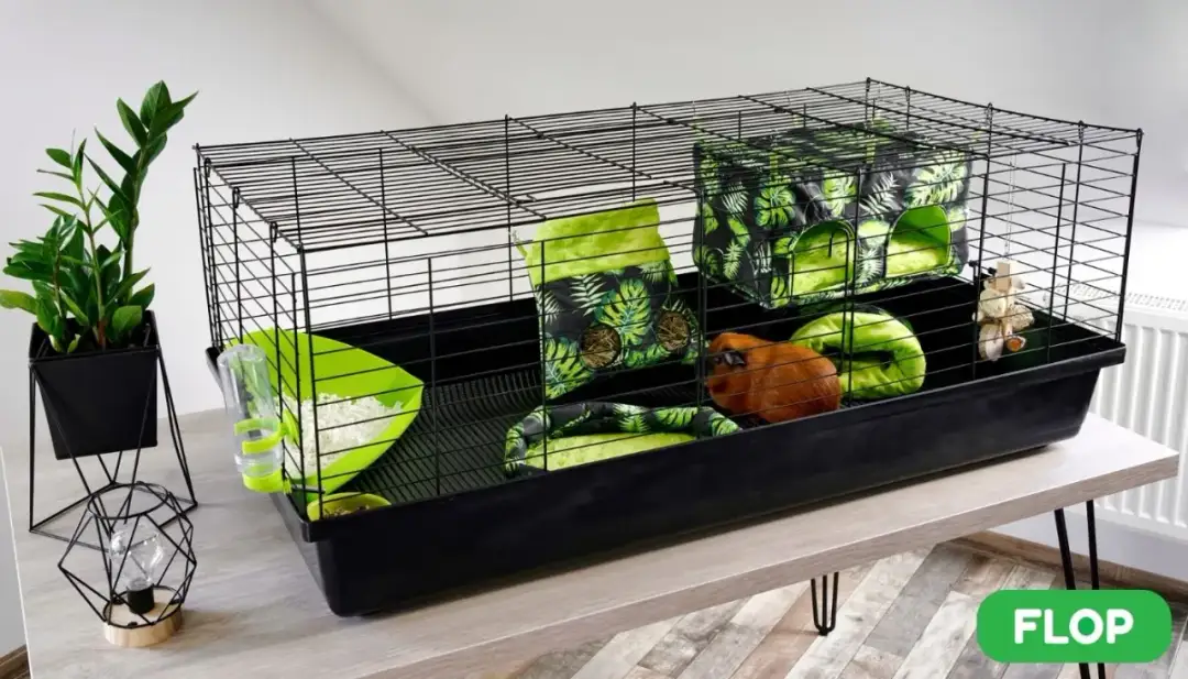 Domek dla świnki morskiej DIY: Zbuduj bezpieczną kryjówkę!