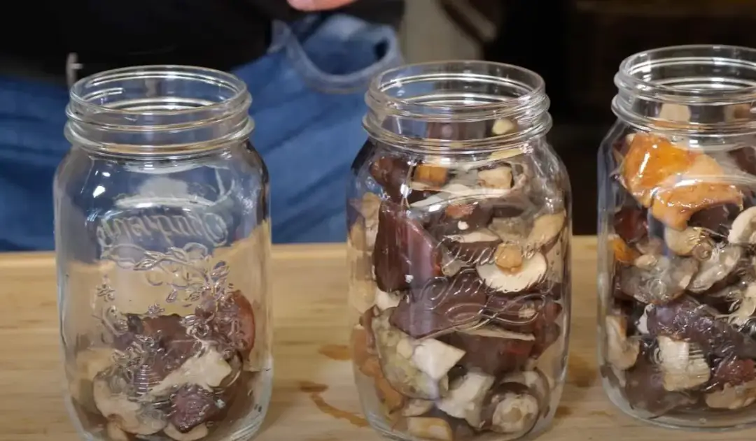 Zachowaj smak letnich grzybów dzięki sprytnej metodzie mrożenia!