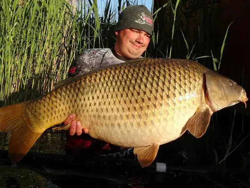 Skuteczna przynęta na karpia w listopadzie – jak nie przegrać sezonu