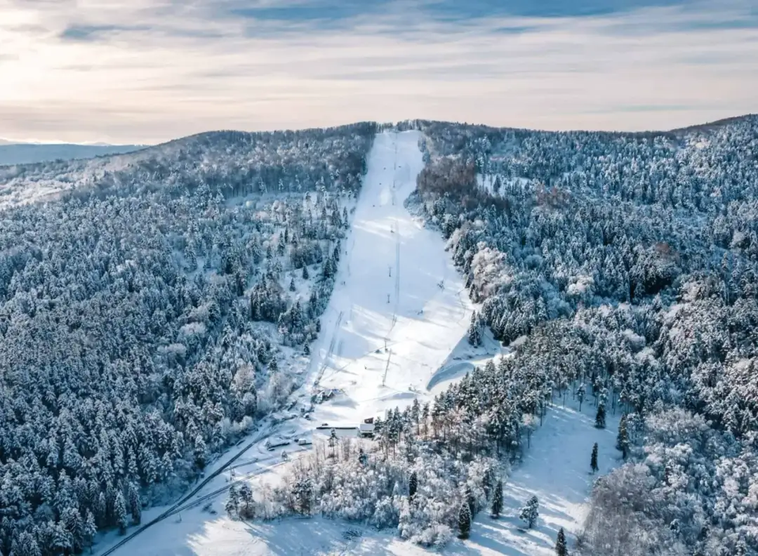 Wyciągi narciarskie w Bieszczadach - najlepsze stoki i atrakcje zimowe