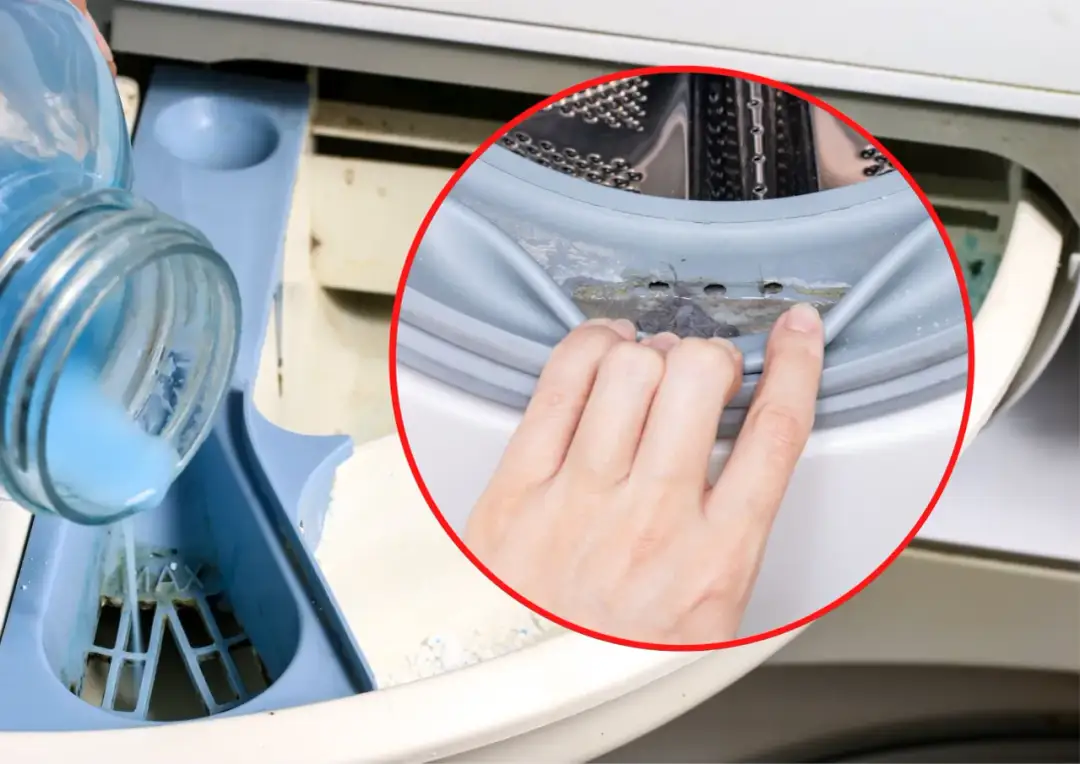 Jak wyczyścić gumę w pralce? Domowe sposoby i środki