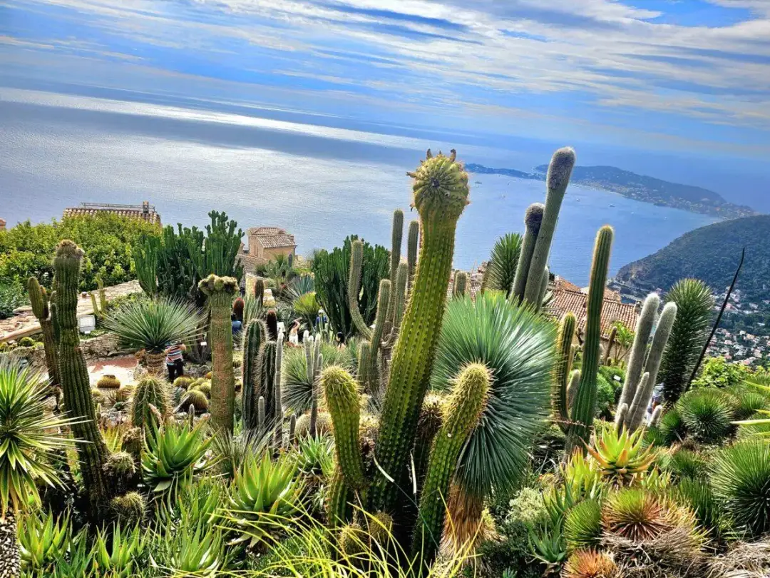 Jak dojechać z Nicei do Eze: Najtańsze i najwygodniejsze opcje podróży