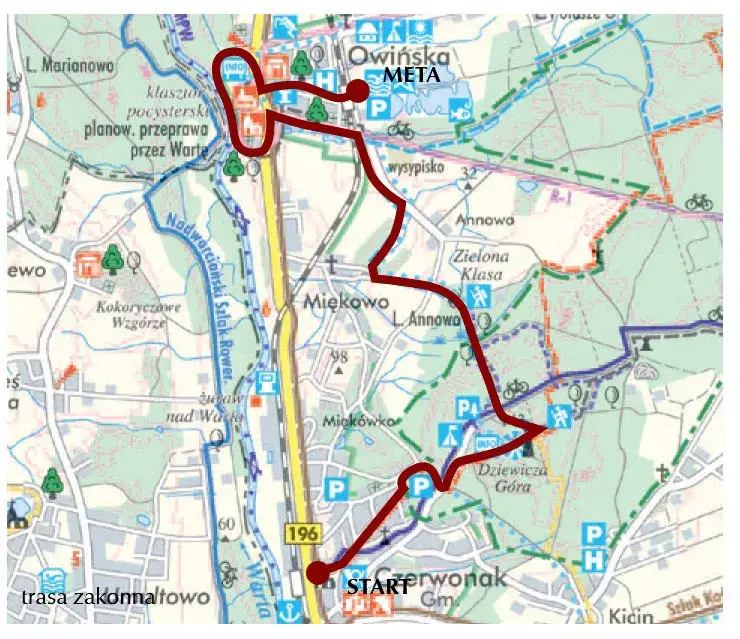 Puszcza Zielonka trasy rowerowe - najlepsze szlaki i ich trudności
