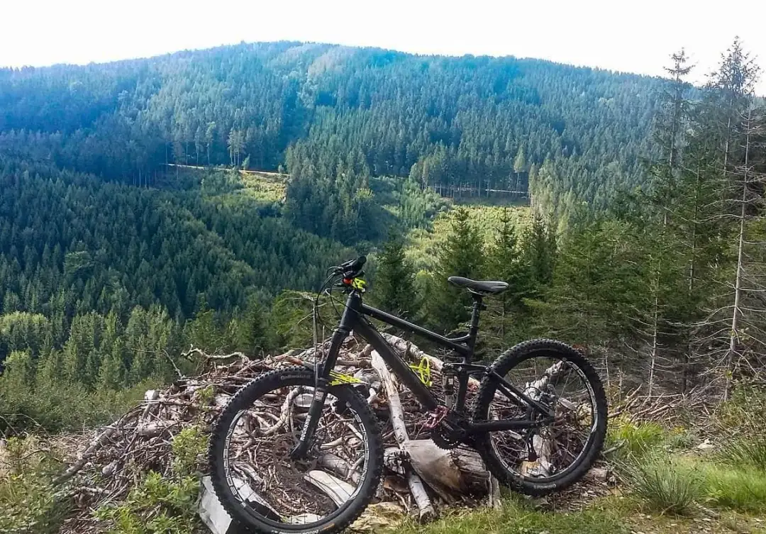 Świeradów-Zdrój trasy rowerowe mapa – najlepsze szlaki na rowerze
