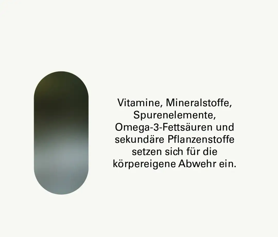 Vitamine fürs Immunsystem: Stärken Sie Ihre Abwehrkräfte effektiv