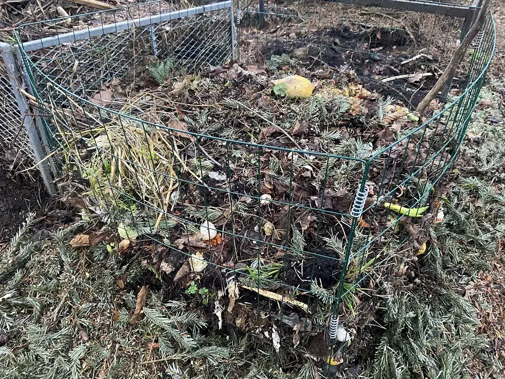 Kompostowanie liści winogron - skuteczny sposób na naturalny nawóz