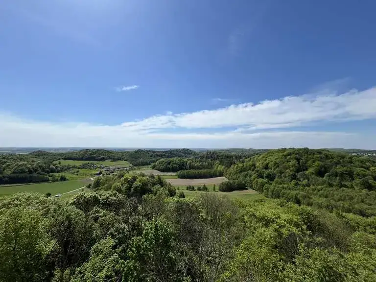 Najciekawsze atrakcje w Pilicy, które musisz zobaczyć podczas wizyty