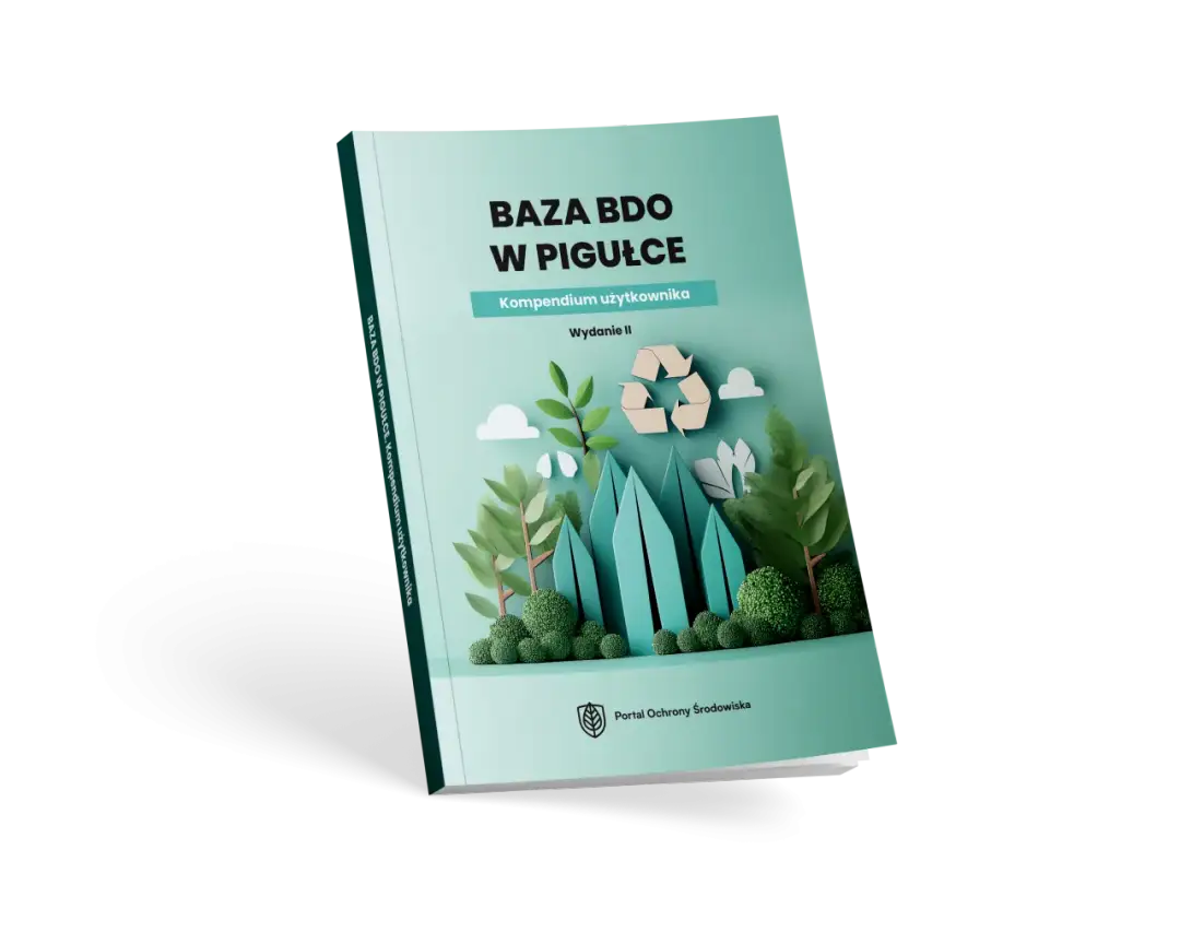 Co to jest BDO – kompletny przewodnik dla zainteresowanych