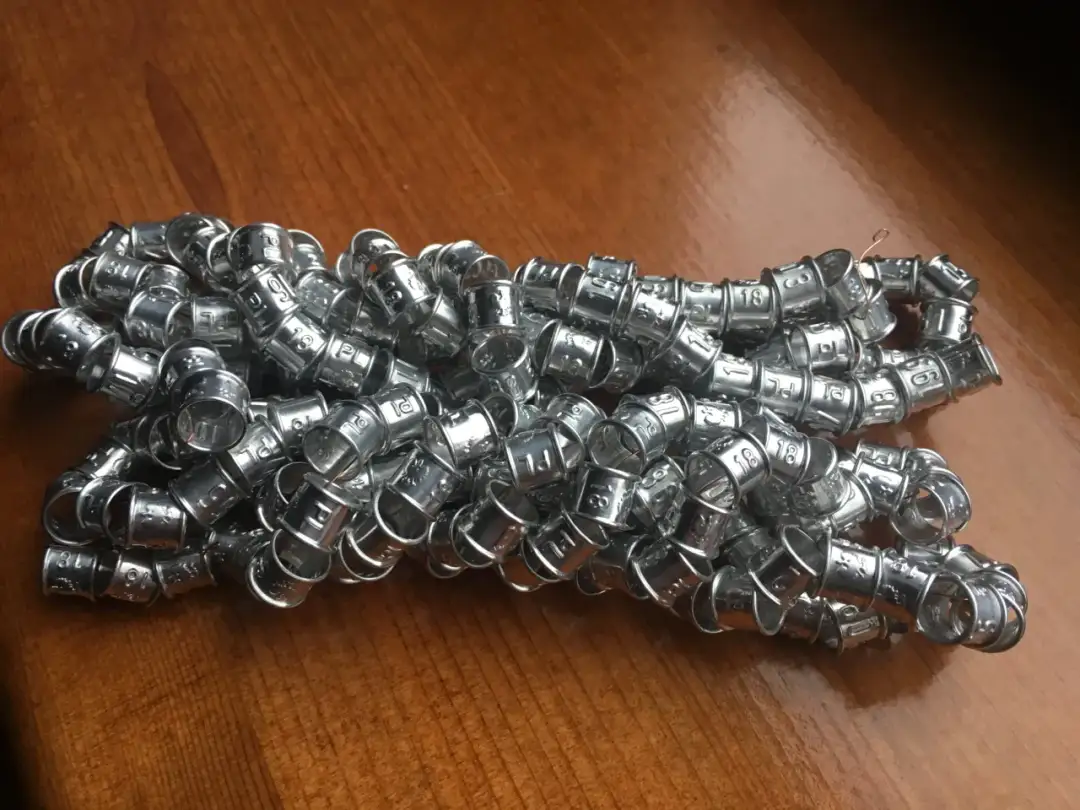 Jakie obrączki dla gołębi ozdobnych wybrać, aby uniknąć problemów?