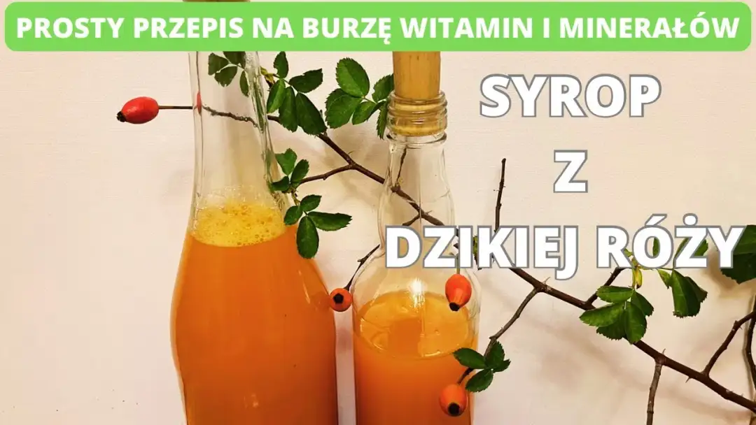 Jak zrobić sok z dzikiej róży? Pełny poradnik na zimową odporność.