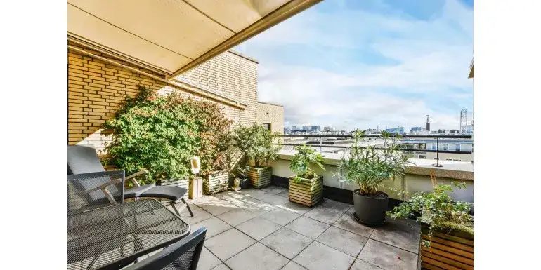 Jakie rośliny do dużych donic na taras? Stwórz piękne aranżacje