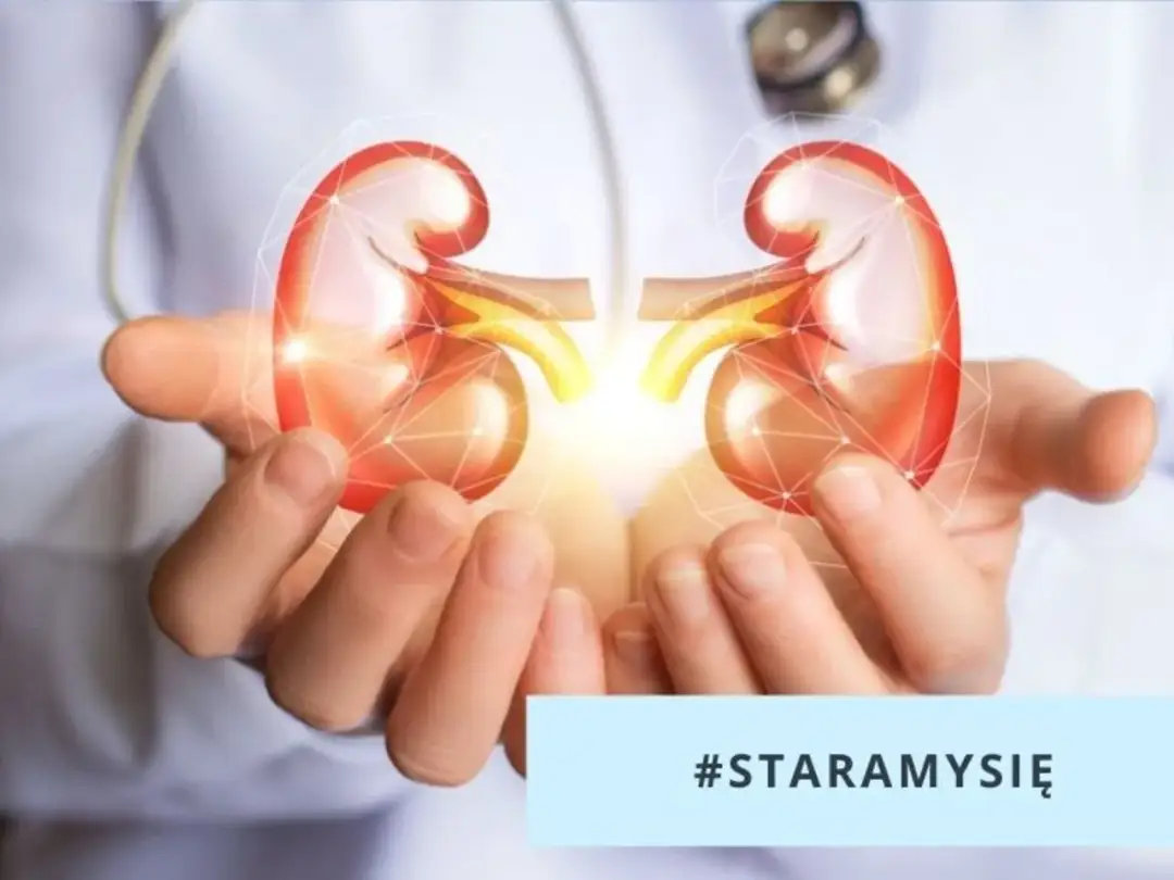 Urolog czym się zajmuje u dorosłych - poznaj kluczowe informacje o zdrowiu